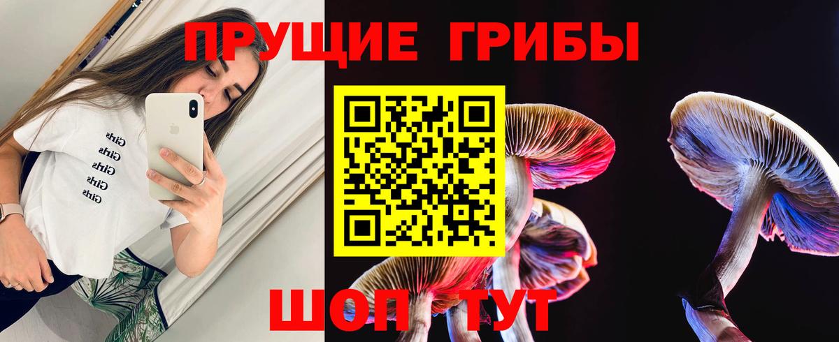 хочу   Псилоцибиновые грибы Psilocybe  Соликамск  Вход с VPN  Галлюциногенные грибы мухоморы 