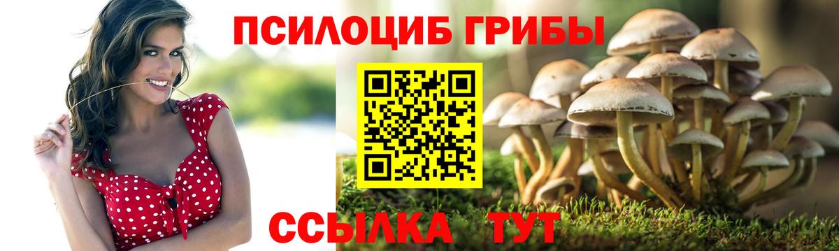 Соликамск  Гашиш  Канабис  A-PVP СК кристаллы  Меф МЯУ МЯУ кристаллы  Вход с VPN  COCAIN 
